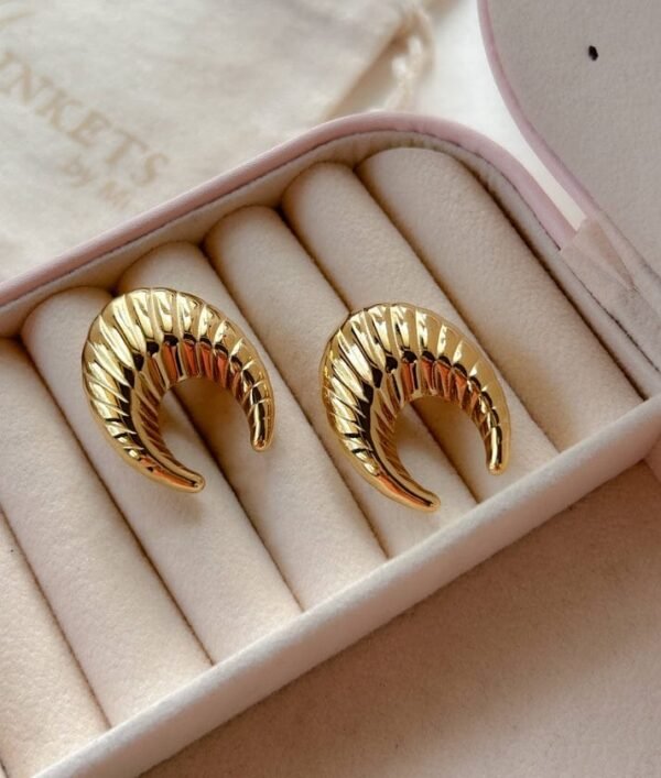 Moon Emberly Hoops Stud Spiral Open Designed Earring